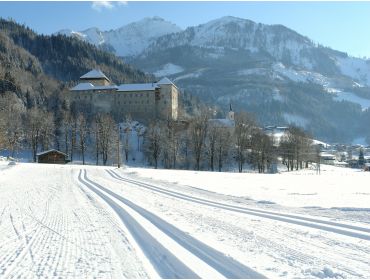 Ski village Cosy and snow-certain winter sport village with plenty of facilities-6