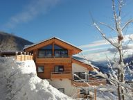 Chalet-apartment Alpenchalet am Wildkogel Kristall-4
