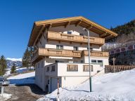 Chalet-apartment Obersteiner I-4