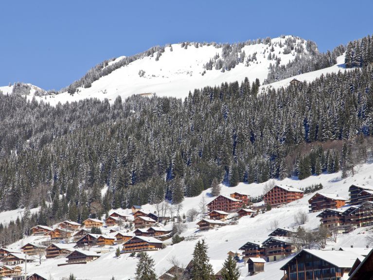 Chalet-apartment Les Fermes de Châtel