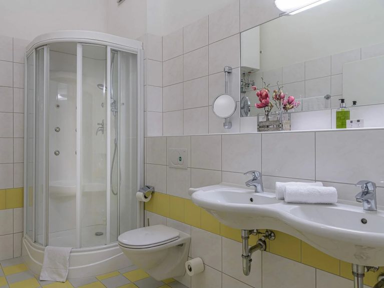 Chalet-apartment AlpenParks Rehrenberg Classic