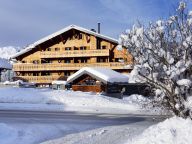 Chalet-apartment Le Grand Ermitage-17
