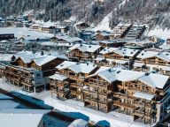 Chalet-apartment Das Neukirchen Type 2b-76
