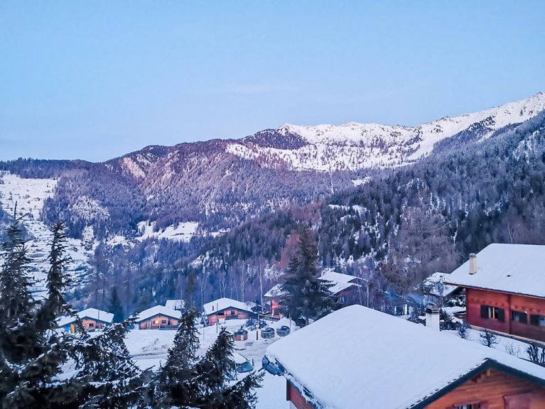 Chalet Les Geais