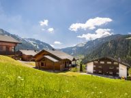 Chalet Dormeur with sauna and outdoor whirlpool, Sunday to Sunday-18