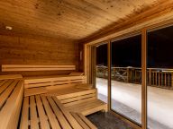 Chalet-apartment Das Neukirchen Type 1a-45