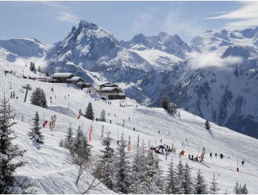 Ski village Charming winter sport village with a good connection to La Plagne-9