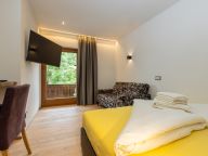 Chalet-apartment Alps Zillertal-10