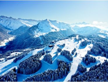 Ski region Les Portes du Soleil-2