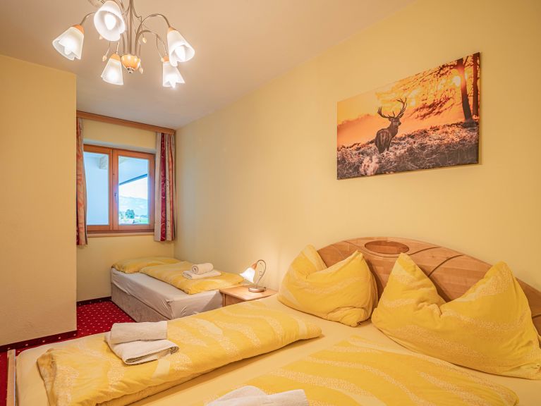 Chalet-apartment Andrea