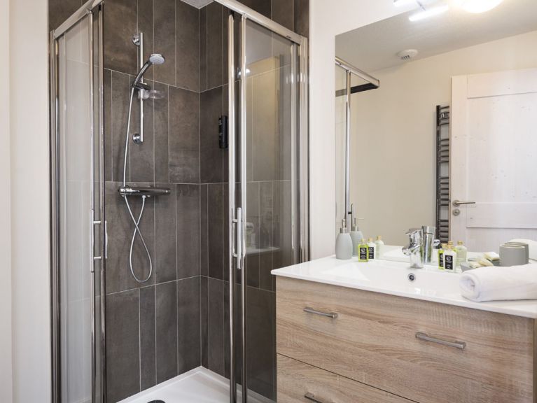 Chalet-apartment Le Hameau de Barthélémy with cabin