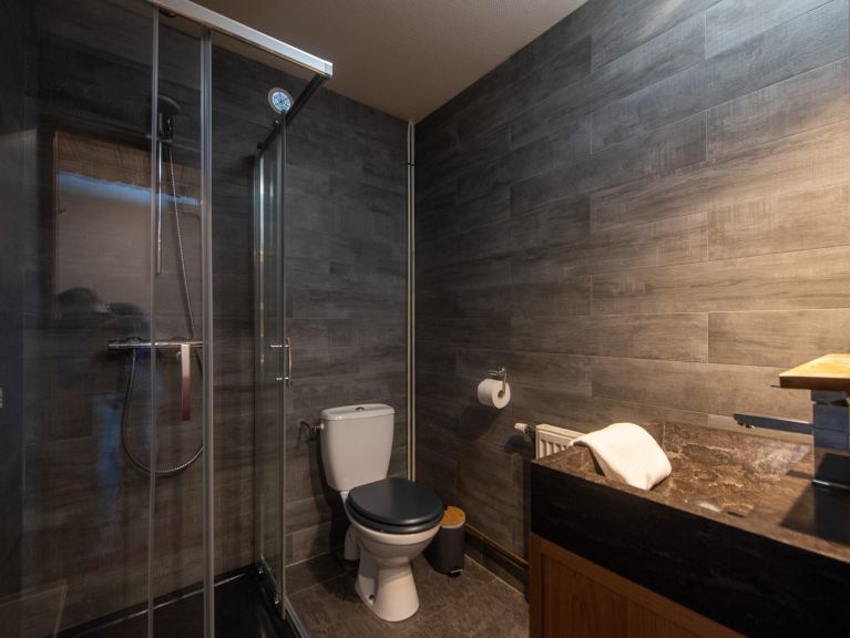 Apartment Les Chalets du Thorens