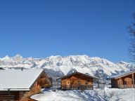 Chalet Almwelt Austria Jägerin-9
