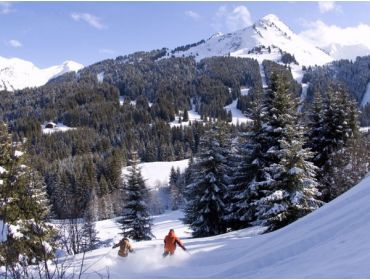 Ski region Les Portes du Soleil-3