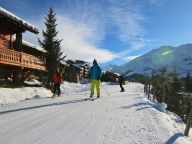 Chalet Le Panicaut including catering-14