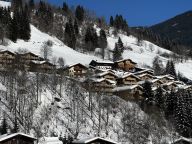 Chalet-apartment AlpenParks Rehrenberg Alpine-21
