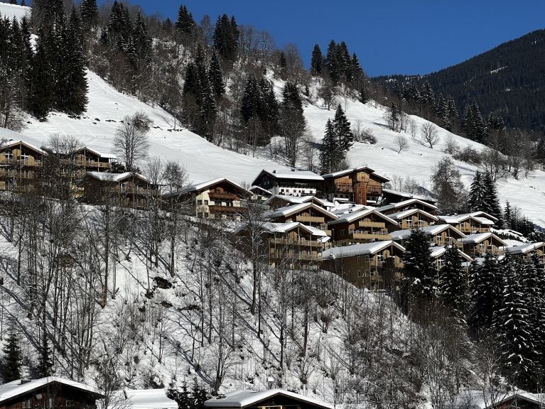 Chalet-apartment AlpenParks Rehrenberg Alpine