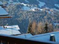 Chalet De Vallandry Type 2 Supérieur, Le Gland d 'Or-28