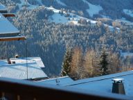 Chalet De Vallandry Type 2 Supérieur, Le Gland d 'Or-32