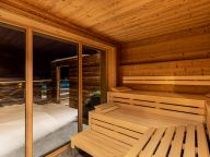 Chalet-apartment Das Neukirchen Type 1a-44