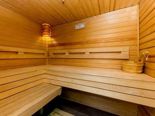 Apartment Sissipark Schladming-Dachstein