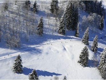Ski village: Les Carroz-1