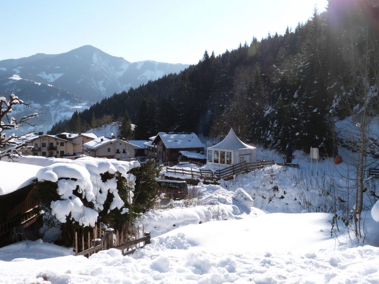 Apartment Wildbachhof