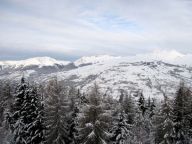 Chalet De Vallandry La Charrue with private wellness-40