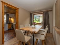 Chalet-apartment Alps Zillertal-4