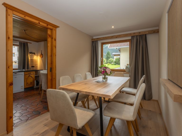Chalet-apartment Alps Zillertal