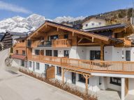 Chalet-apartment Sonnblick Top 4-18