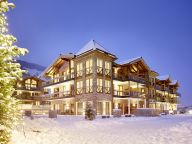 Chalet-apartment Wildkogelresorts Penthouse Type V-25