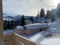 Chalet Hameau de Flaine-14