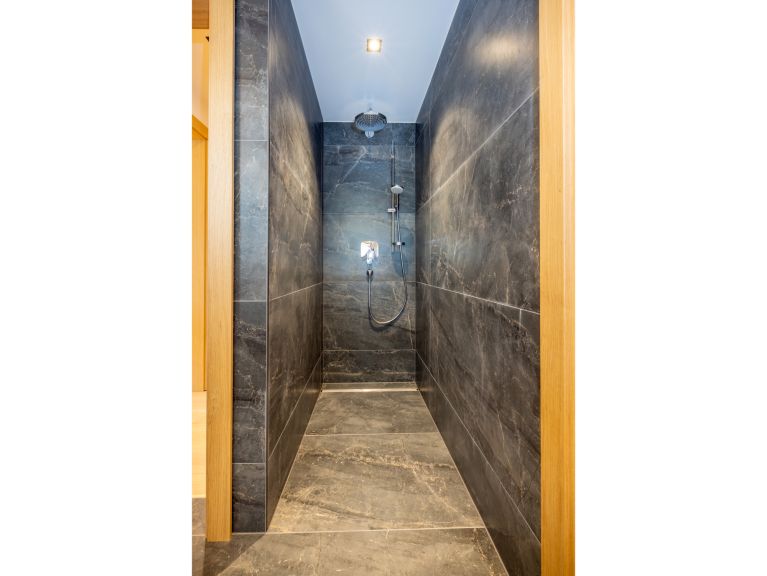 Chalet-apartment Alps Zillertal