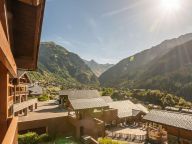 Chalet-apartment Les Alpages de Champagny apartment C22-30