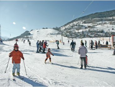 Ski village Rustic village close to Kaprun and Zell am See-3