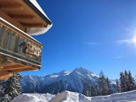 Chalet Bergdiamant-27