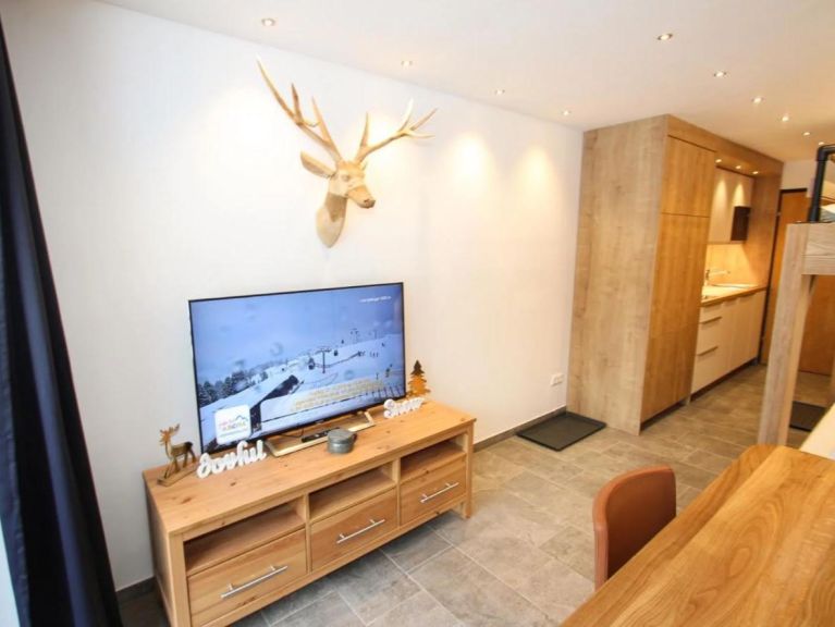 Apartment Wiesberg Studio, no. 15