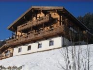 Chalet Schöneben Bauernhaus with sauna-30