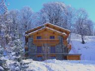 Chalet Paradis de St. Martin with sauna-12