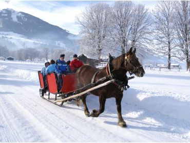 Ski village Rustic village close to Kaprun and Zell am See-6