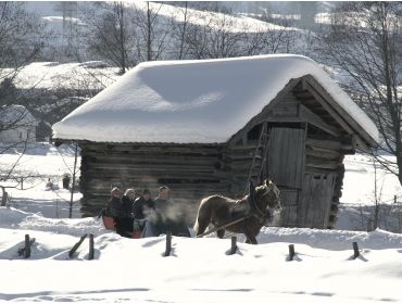 Ski village Rustic village close to Kaprun and Zell am See-7