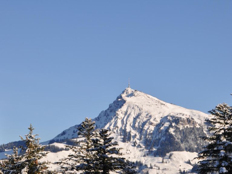 Chalet Kirchberg am Bach Sunday to Sunday