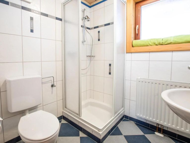 Chalet-apartment Hölzl Top West