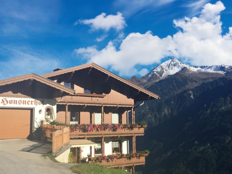 Chalet-apartment Honsnerhof