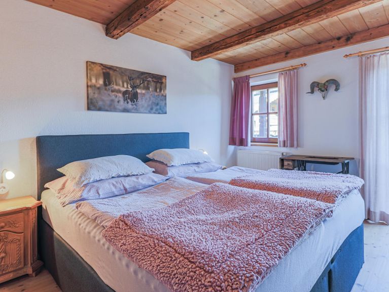 Chalet-apartment Hauserbauer