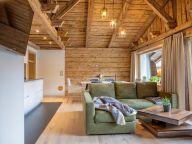 Chalet-apartment Alps Zillertal-5