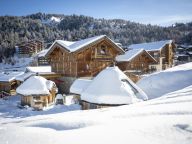 Chalet du Cocoon Mont-Blanc with outdoor hot tub-34