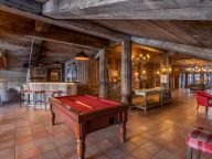 Chalet-apartment Altitude penthouse-14