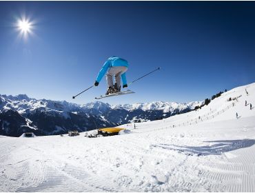 Ski village Cosy winter sport village, situated in the heart of the Zillertal-9